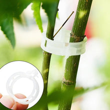 Load image into Gallery viewer, Durable Plant Support Clips Vine Garden Trailing Vegetables Hanging clips