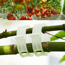 Load image into Gallery viewer, Durable Plant Support Clips Vine Garden Trailing Vegetables Hanging clips