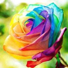 Load image into Gallery viewer, 200Pcs Colorful Rainbow Rose Flower Seeds Home Garden Plants Multi-Color