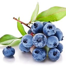 Load image into Gallery viewer, 20pcs Dwarf Tree Fast Garden Decor Pot