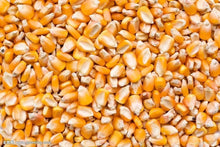 Load image into Gallery viewer, 50 Pcs Corn Seeds